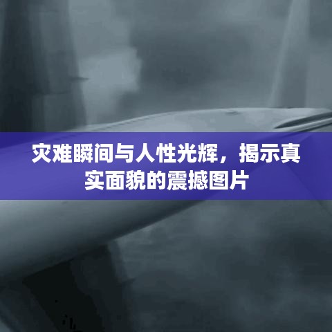 災難瞬間與人性光輝，揭示真實面貌的震撼圖片