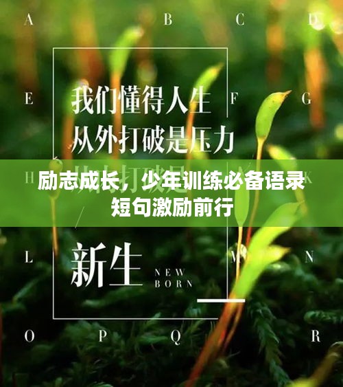 勵(lì)志成長(zhǎng)，少年訓(xùn)練必備語(yǔ)錄短句激勵(lì)前行