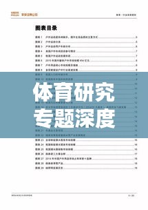 體育研究專題深度總結報告，洞悉精髓，引領行業(yè)新動向