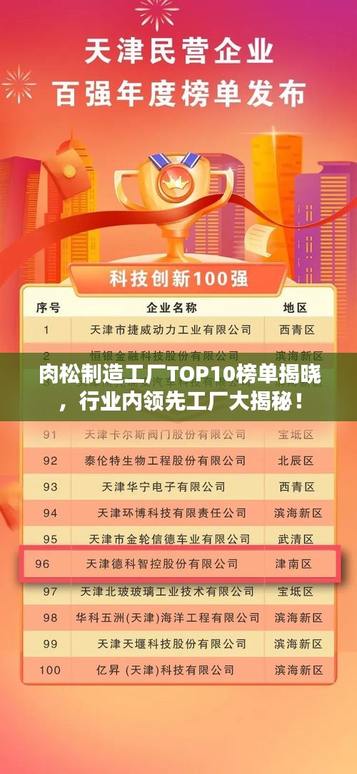肉松制造工廠TOP10榜單揭曉，行業(yè)內(nèi)領(lǐng)先工廠大揭秘！