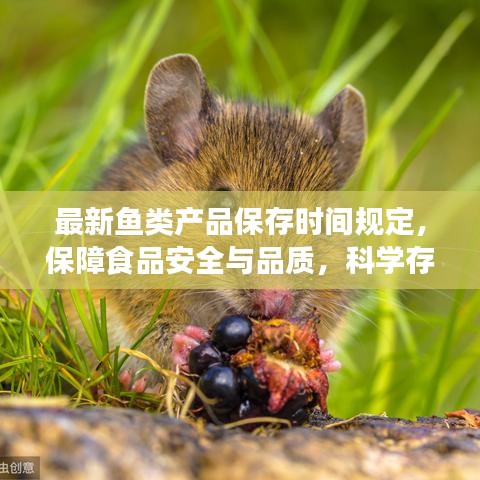 最新魚(yú)類(lèi)產(chǎn)品保存時(shí)間規(guī)定，保障食品安全與品質(zhì)，科學(xué)存儲(chǔ)，健康享用