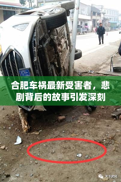 合肥車禍最新受害者，悲劇背后的故事引發(fā)深刻反思