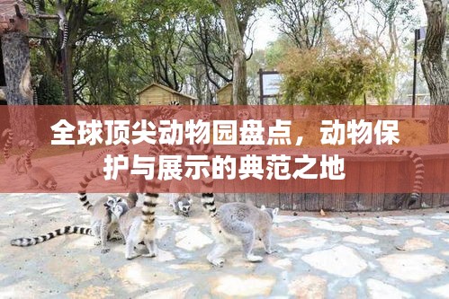 全球頂尖動物園盤點(diǎn)，動物保護(hù)與展示的典范之地