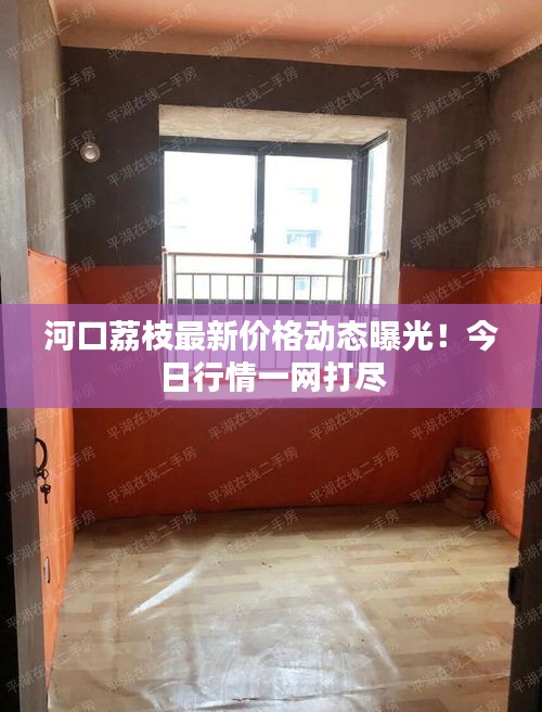 河口荔枝最新價格動態(tài)曝光！今日行情一網(wǎng)打盡