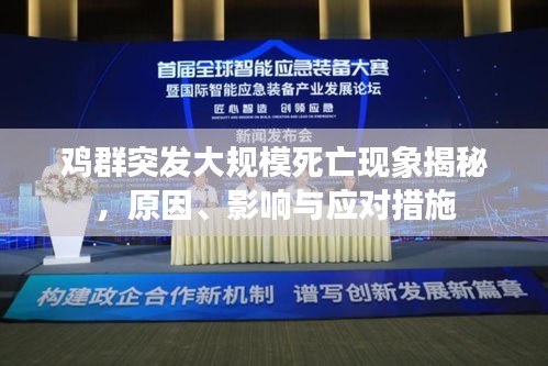 雞群突發(fā)大規(guī)模死亡現(xiàn)象揭秘，原因、影響與應(yīng)對措施