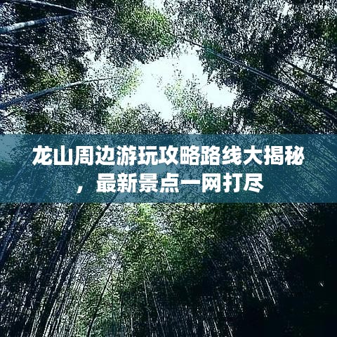 龍山周邊游玩攻略路線大揭秘，最新景點一網(wǎng)打盡