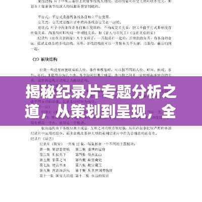 揭秘紀錄片專題分析之道，從策劃到呈現(xiàn)，全方位解讀！