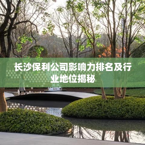 長(zhǎng)沙保利公司影響力排名及行業(yè)地位揭秘