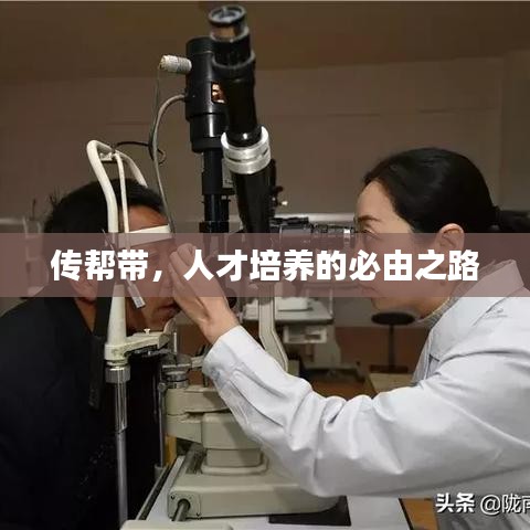 傳幫帶，人才培養(yǎng)的必由之路