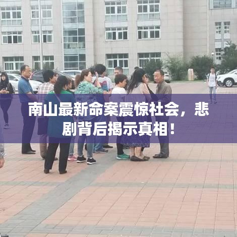 南山最新命案震驚社會，悲劇背后揭示真相！
