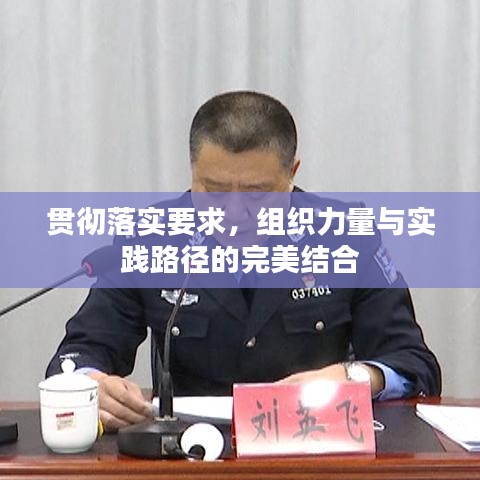 貫徹落實(shí)要求，組織力量與實(shí)踐路徑的完美結(jié)合
