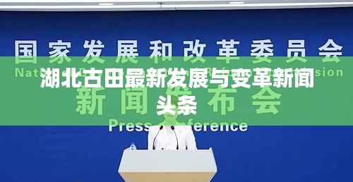 湖北古田最新發(fā)展與變革新聞?lì)^條