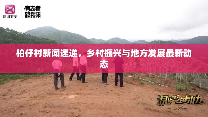 柏仔村新聞速遞，鄉(xiāng)村振興與地方發(fā)展最新動(dòng)態(tài)