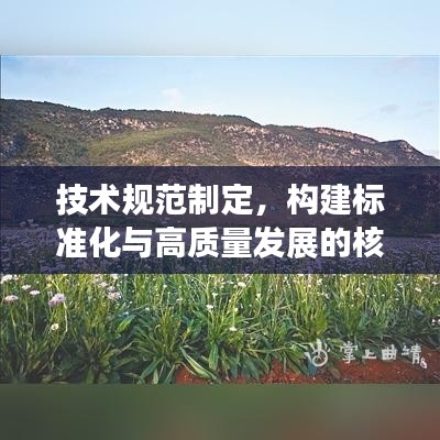技術(shù)規(guī)范制定，構(gòu)建標準化與高質(zhì)量發(fā)展的核心路徑