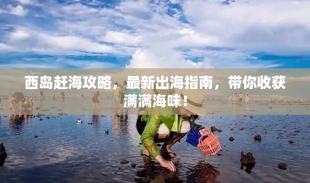 西島趕海攻略，最新出海指南，帶你收獲滿滿海味！