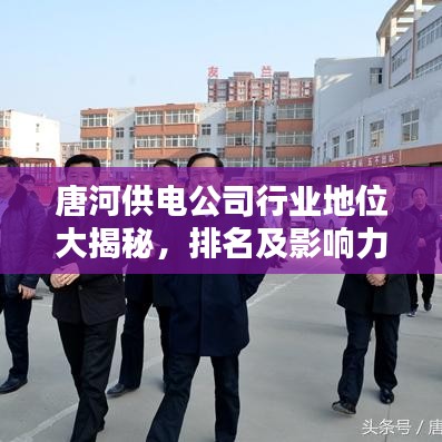 唐河供電公司行業(yè)地位大揭秘，排名及影響力解析
