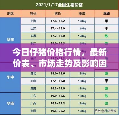 今日仔豬價格行情，最新價表、市場走勢及影響因素深度解析