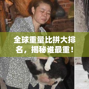 全球重量比拼大排名，揭秘誰最重！