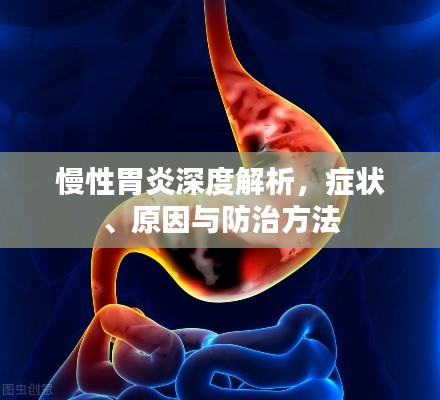 慢性胃炎深度解析，癥狀、原因與防治方法
