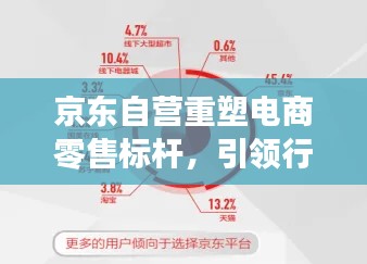 京東自營(yíng)重塑電商零售標(biāo)桿，引領(lǐng)行業(yè)新風(fēng)向！