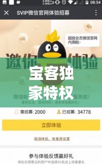 寶客獨(dú)家特權(quán)，尊享特惠，開啟貴賓尊享體驗(yàn)之旅