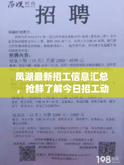 鳳湖最新招工信息匯總，搶鮮了解今日招工動(dòng)態(tài)