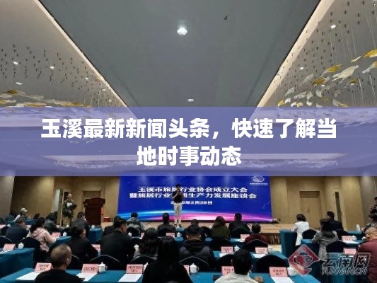 玉溪最新新聞頭條，快速了解當(dāng)?shù)貢r事動態(tài)