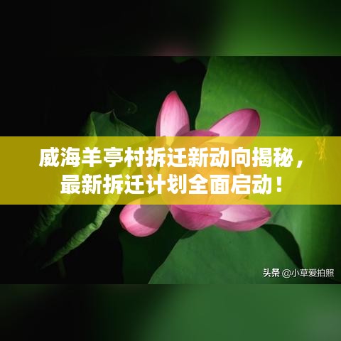 威海羊亭村拆遷新動向揭秘，最新拆遷計劃全面啟動！