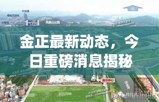 金正最新動態(tài)，今日重磅消息揭秘！