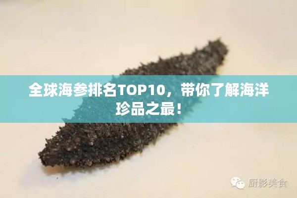 綱舉目張 第2頁