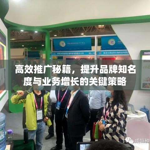 高效推廣秘籍，提升品牌知名度與業(yè)務(wù)增長的關(guān)鍵策略