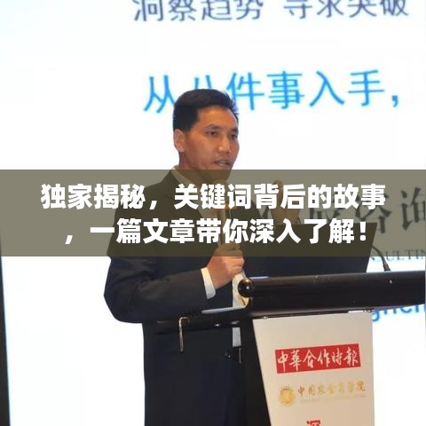 獨家揭秘，關鍵詞背后的故事，一篇文章帶你深入了解！