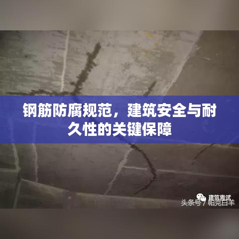 鋼筋防腐規(guī)范，建筑安全與耐久性的關鍵保障