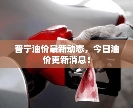 普寧油價最新動態(tài)，今日油價更新消息！