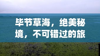 畢節(jié)草海，絕美秘境，不可錯過的旅游攻略！