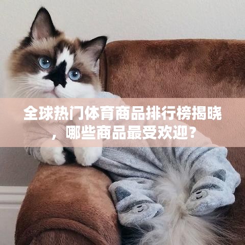 全球熱門體育商品排行榜揭曉，哪些商品最受歡迎？