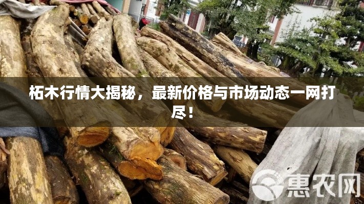 侃侃而談 第2頁