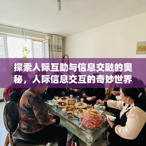 探索人際互助與信息交融的奧秘，人際信息交互的奇妙世界
