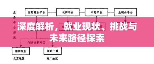 深度解析，就業(yè)現(xiàn)狀、挑戰(zhàn)與未來路徑探索