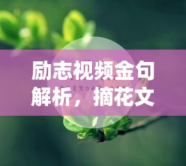 貌美如花 第3頁(yè)