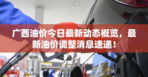 廣西油價(jià)今日最新動(dòng)態(tài)概覽，最新油價(jià)調(diào)整消息速遞！