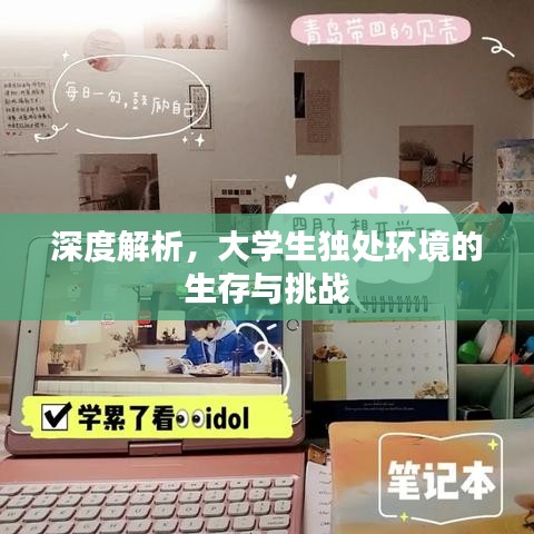 深度解析，大學(xué)生獨處環(huán)境的生存與挑戰(zhàn)