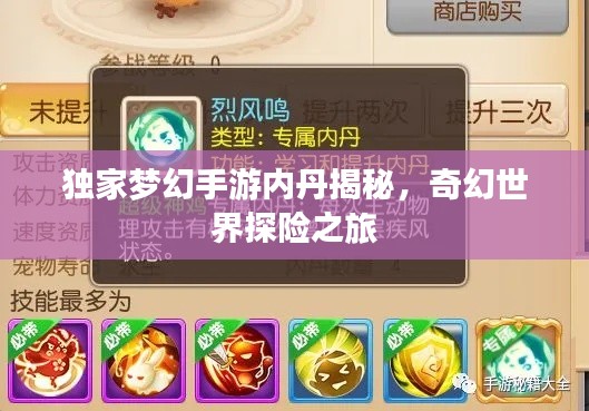 獨家夢幻手游內(nèi)丹揭秘，奇幻世界探險之旅