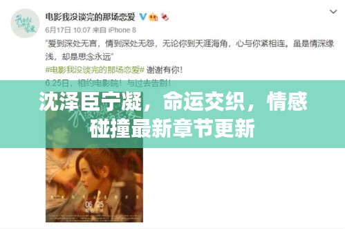 沈澤臣寧凝，命運(yùn)交織，情感碰撞最新章節(jié)更新