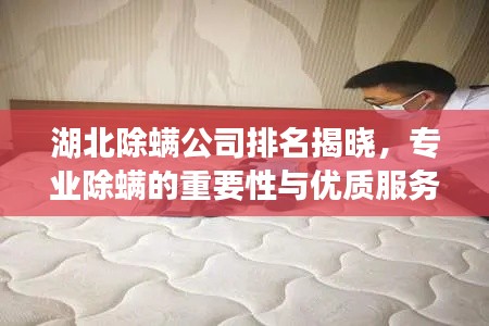 湖北除螨公司排名揭曉，專業(yè)除螨的重要性與優(yōu)質(zhì)服務(wù)商一覽