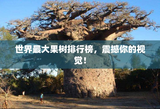 世界最大果樹排行榜，震撼你的視覺！