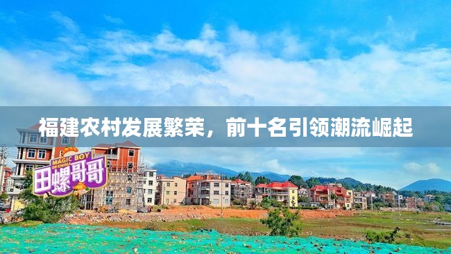 福建農(nóng)村發(fā)展繁榮，前十名引領(lǐng)潮流崛起