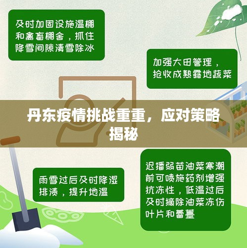 丹東疫情挑戰(zhàn)重重，應(yīng)對策略揭秘
