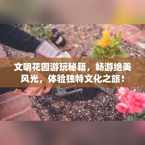 文明花園游玩秘籍，暢游絕美風(fēng)光，體驗獨(dú)特文化之旅！
