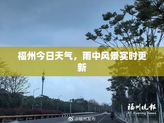 福州今日天氣，雨中風(fēng)景實時更新